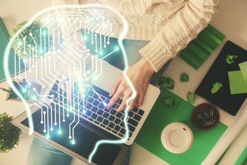 Development and implementation of environmental IT solutions